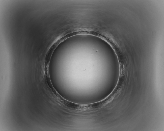 X0000115411165200911101605