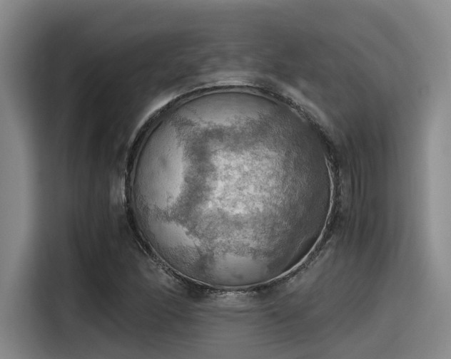 X0000115411166200911101605