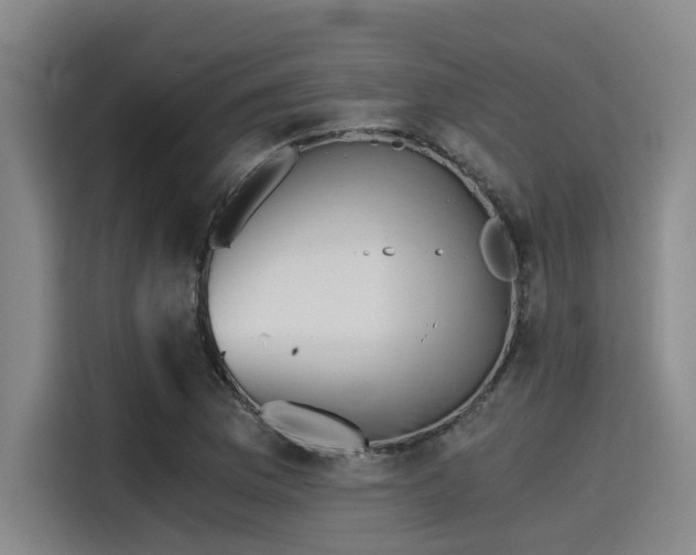 X0000115411169200911101605