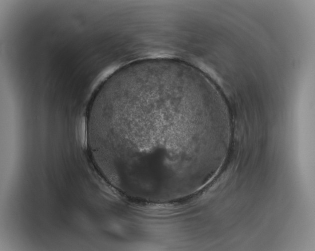 X0000115411171200911101605