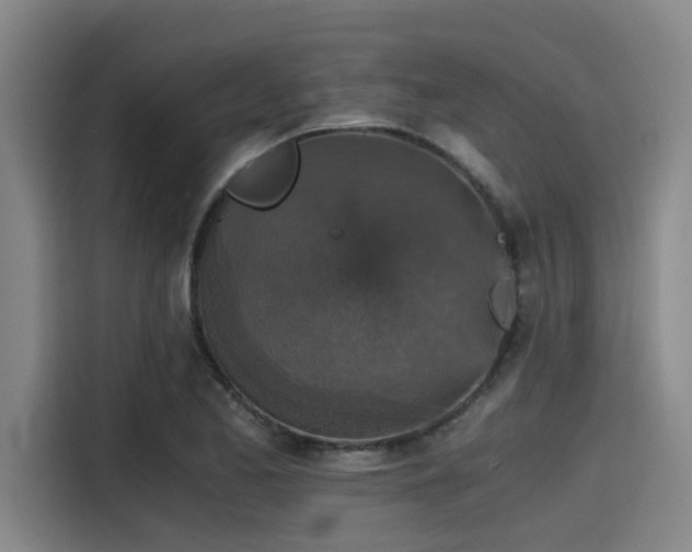 X0000115411173200911101605