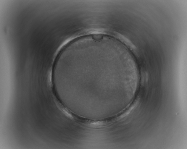 X0000115411174200911101605