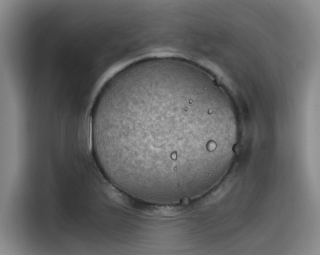 X0000115411175200911101605
