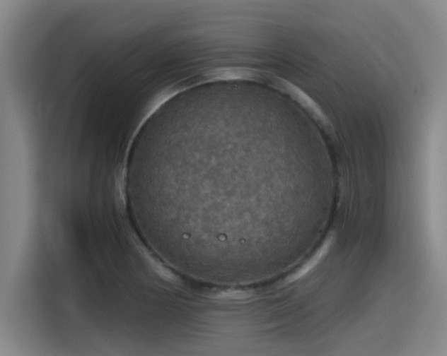 X0000115411178200911101605