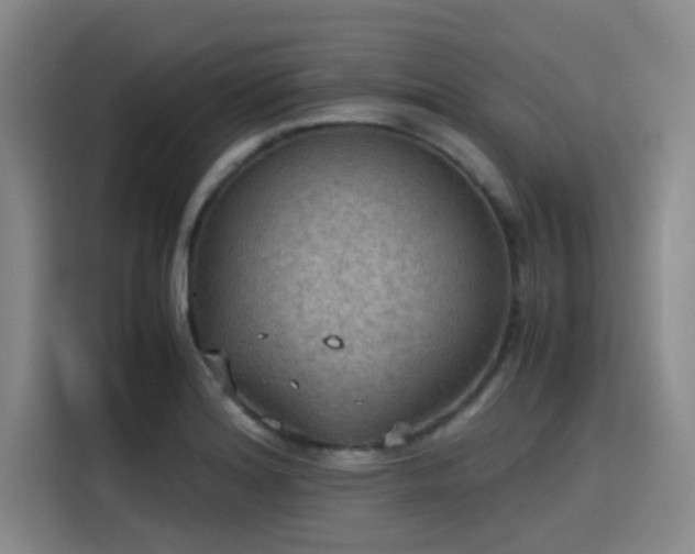 X0000115411180200911101605