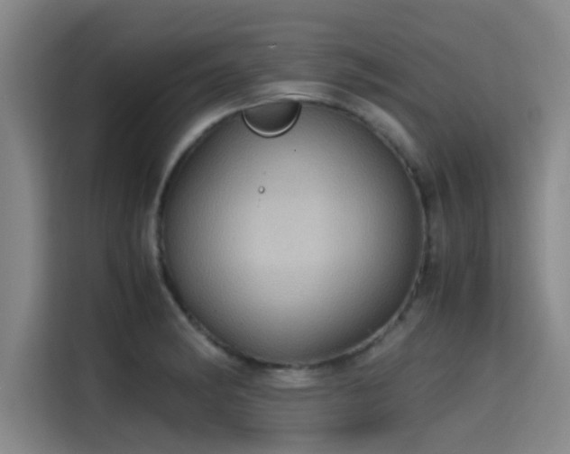 X0000115411182200911101605