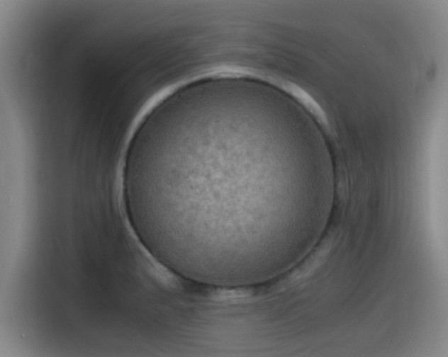 X0000115411183200911101605