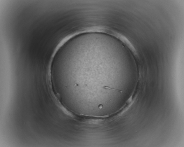 X0000115411184200911101605