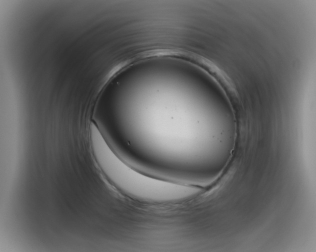 X0000115411185200911101605