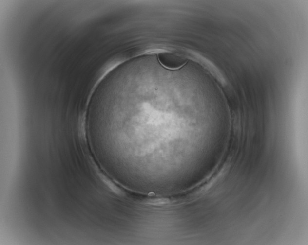 X0000115411186200911101605