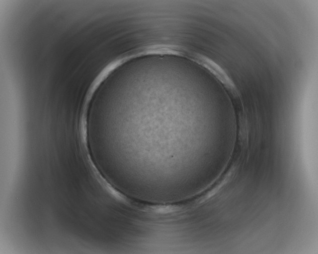 X0000115411188200911101605
