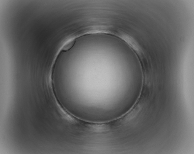 X0000115411189200911101605