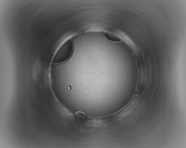 X0000115411190200911101605