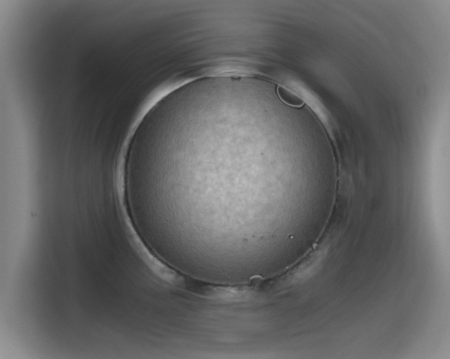 X0000115411195200911101605