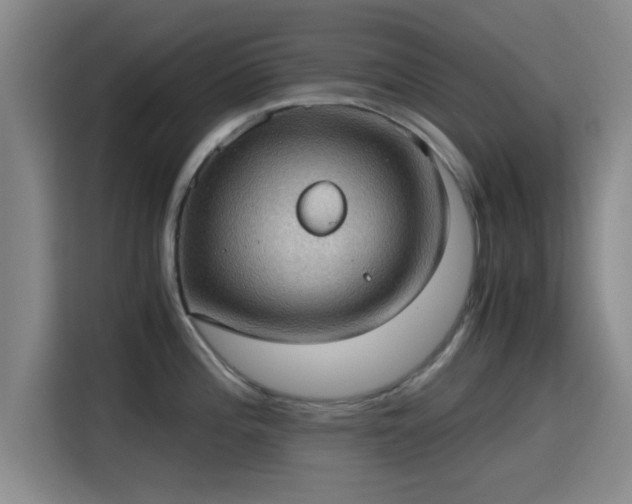 X0000115411196200911101605