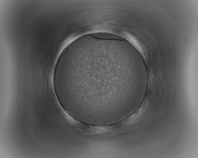 X0000115411197200911101605