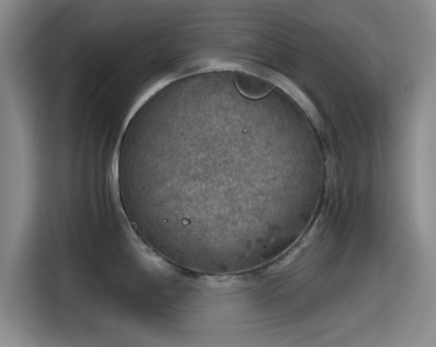 X0000115411198200911101605