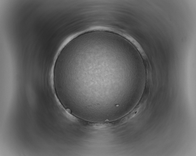 X0000115411199200911101605