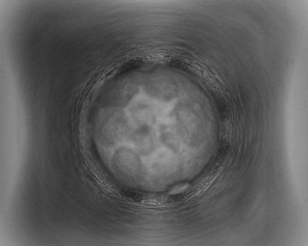 X0000115411201200911101604