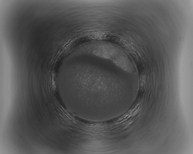 X0000115411202200911101604