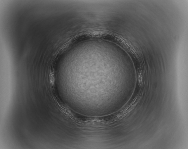 X0000115411204200911101604
