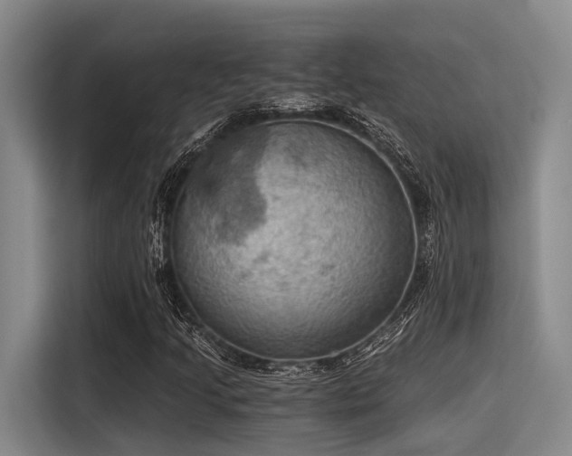 X0000115411205200911101604