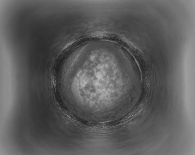 X0000115411206200911101604
