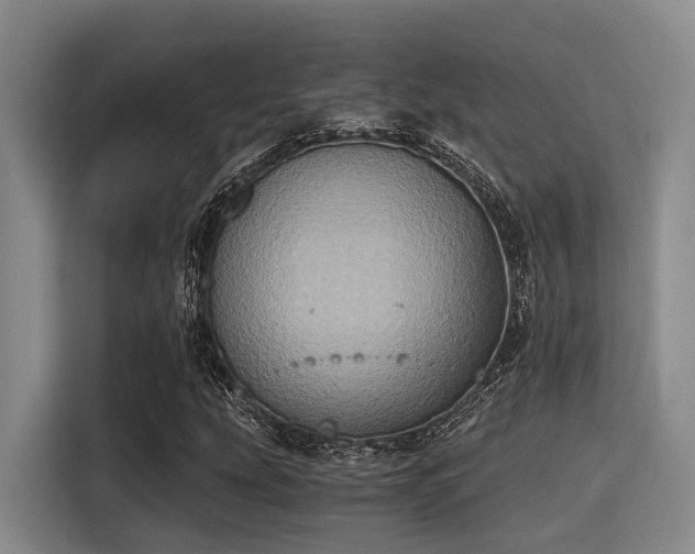 X0000115411207200911101604