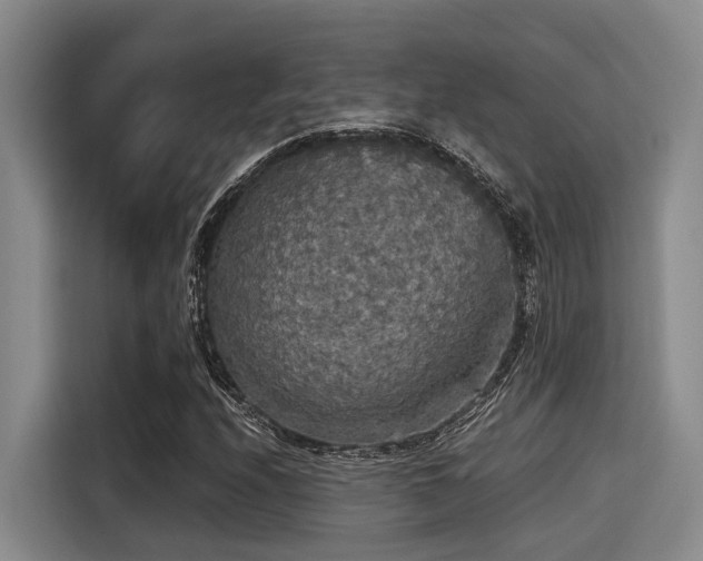 X0000115411208200911101604