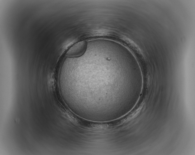 X0000115411210200911101604