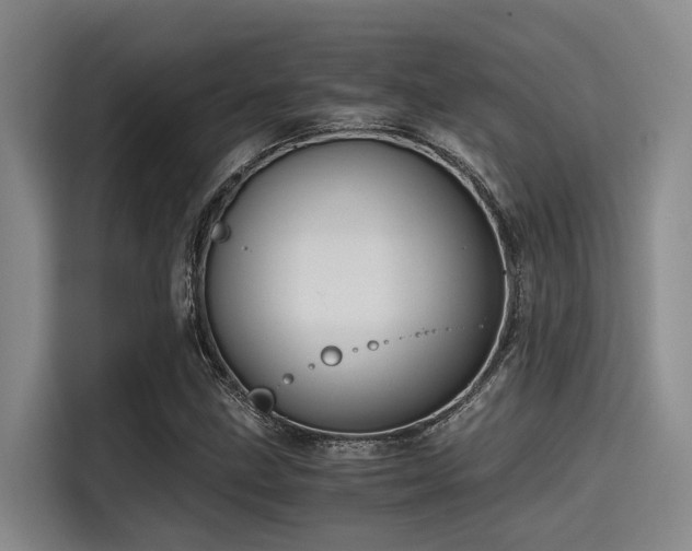 X0000115411211200911101604