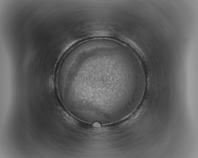 X0000115411212200911101604