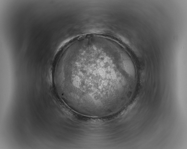 X0000115411214200911101605