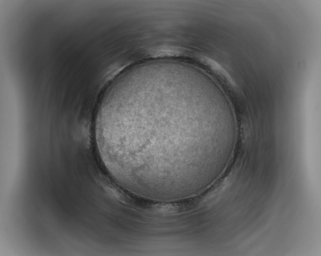 X0000115411217200911101605