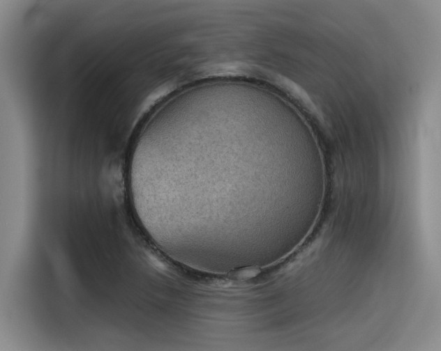 X0000115411218200911101605