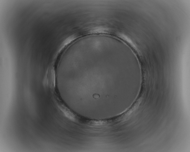 X0000115411219200911101605