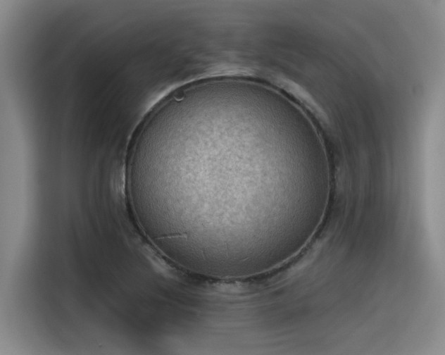 X0000115411220200911101605