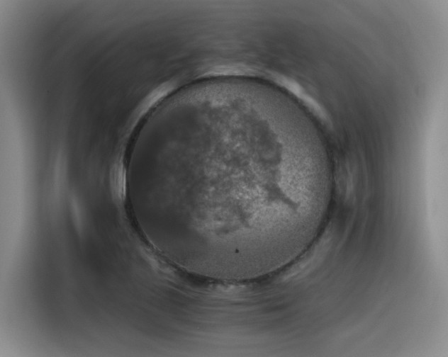 X0000115411221200911101605