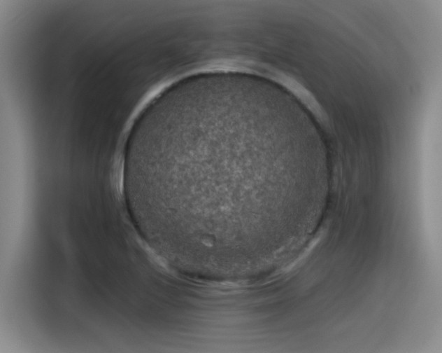 X0000115411224200911101605