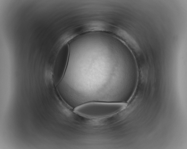X0000115411225200911101605