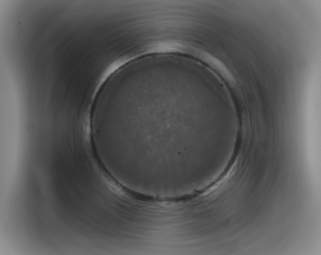 X0000115411226200911101605