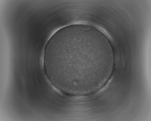 X0000115411228200911101605