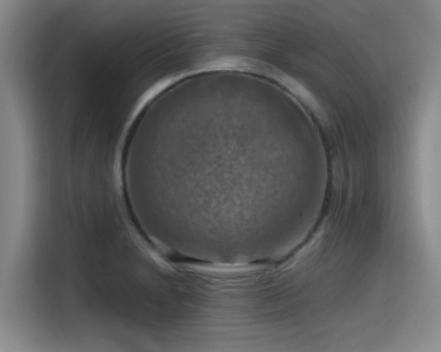 X0000115411230200911101605