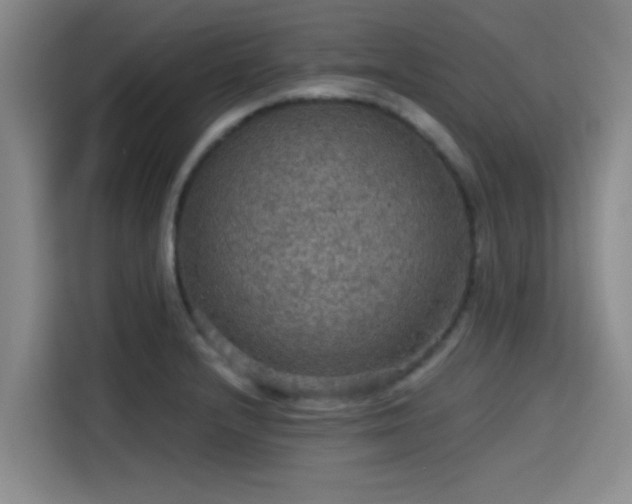 X0000115411232200911101605