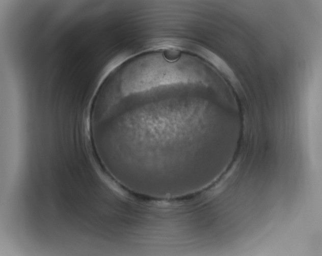 X0000115411234200911101605