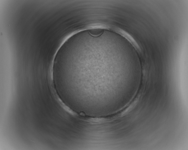 X0000115411236200911101605