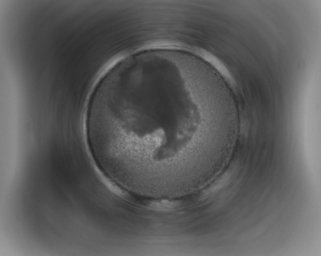 X0000115411237200911101605