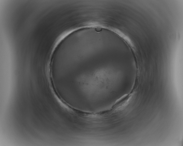 X0000115411239200911101605