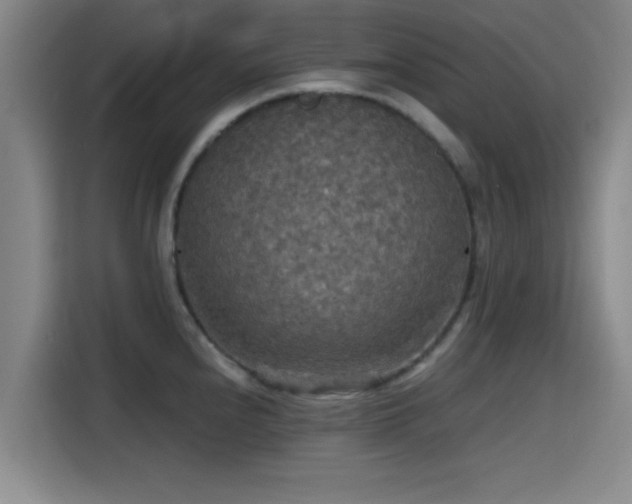 X0000115411240200911101605