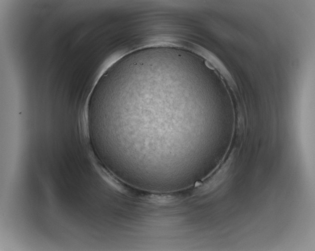 X0000115411242200911101605
